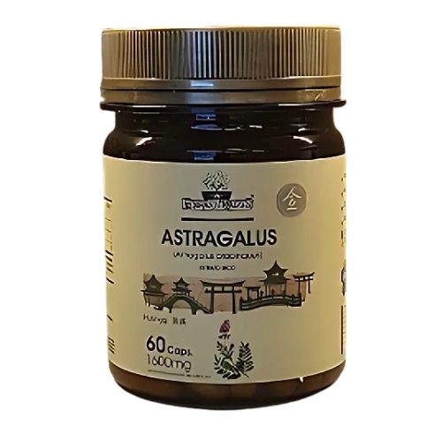 astragalus