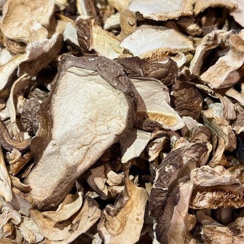 SHITAKE FATIADO SECO