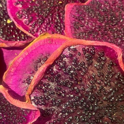 pitaya fatiada desidratada