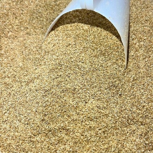psyllium